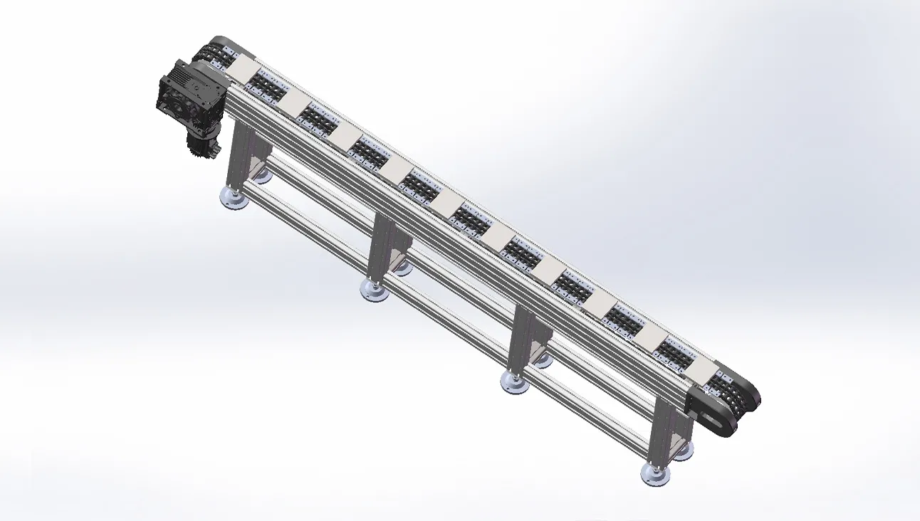 Double-Row Chain Conveyor Line